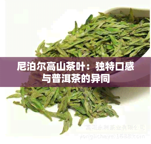 尼泊尔高山茶叶：独特口感与普洱茶的异同