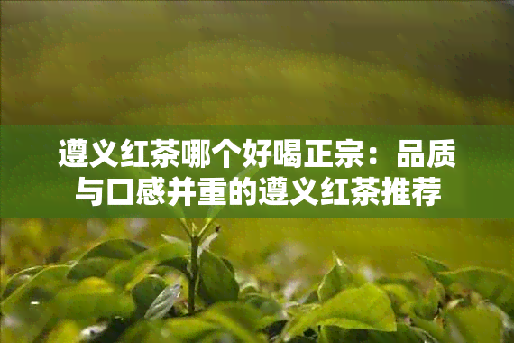 遵义红茶哪个好喝正宗：品质与口感并重的遵义红茶推荐