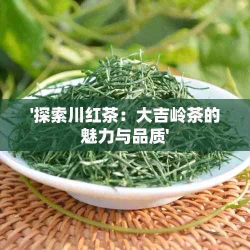 '探索川红茶：大吉岭茶的魅力与品质'