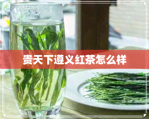 贵天下遵义红茶怎么样