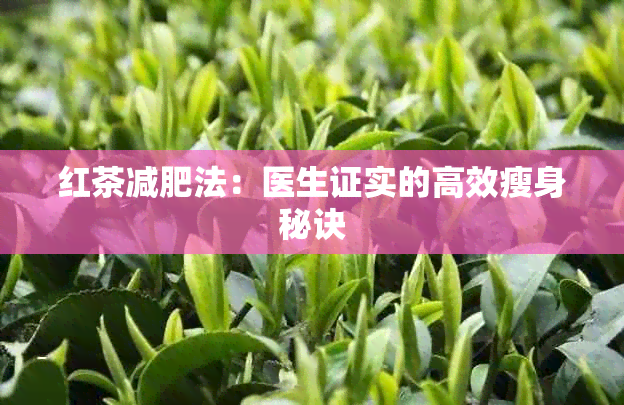 红茶减肥法：医生证实的高效瘦身秘诀