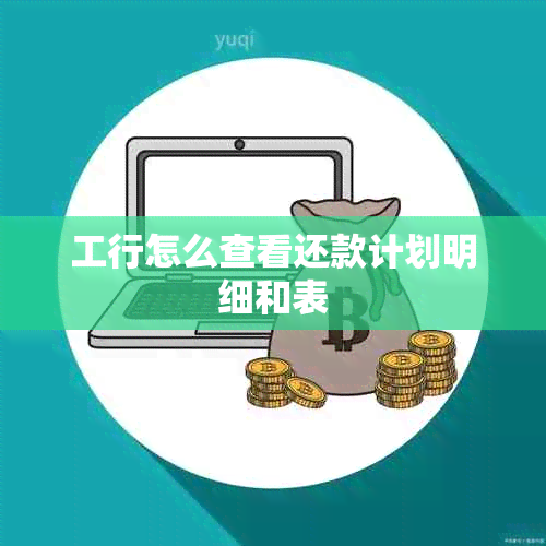 工行怎么查看还款计划明细和表