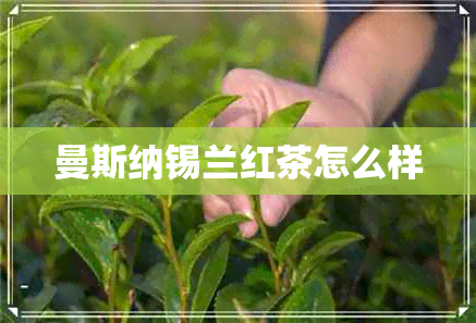 曼斯纳锡兰红茶怎么样