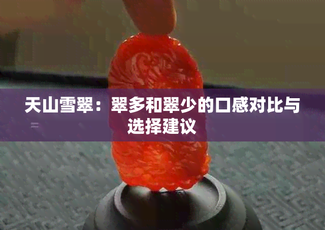 天山雪翠：翠多和翠少的口感对比与选择建议