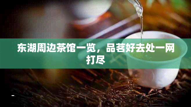 东湖周边茶馆一览，品茗好去处一网打尽