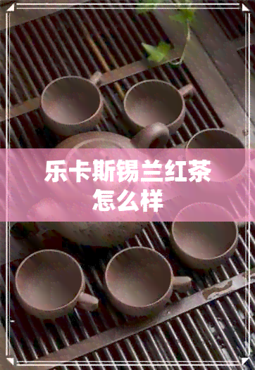 乐卡斯锡兰红茶怎么样