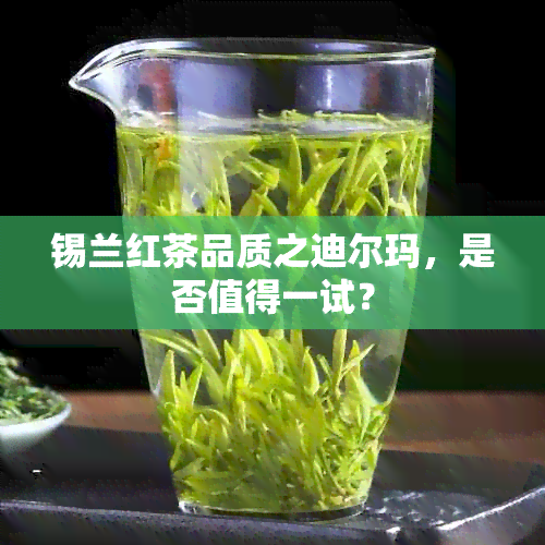 锡兰红茶品质之迪尔玛，是否值得一试？