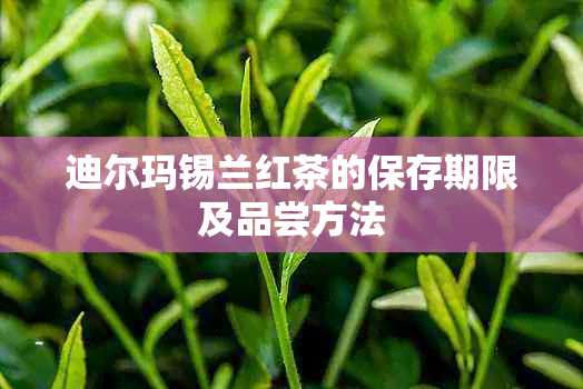 迪尔玛锡兰红茶的保存期限及品尝方法