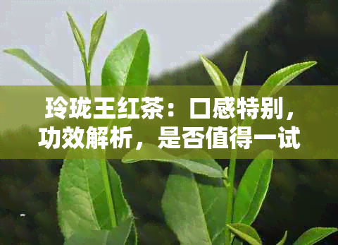 玲珑王红茶：口感特别，功效解析，是否值得一试？