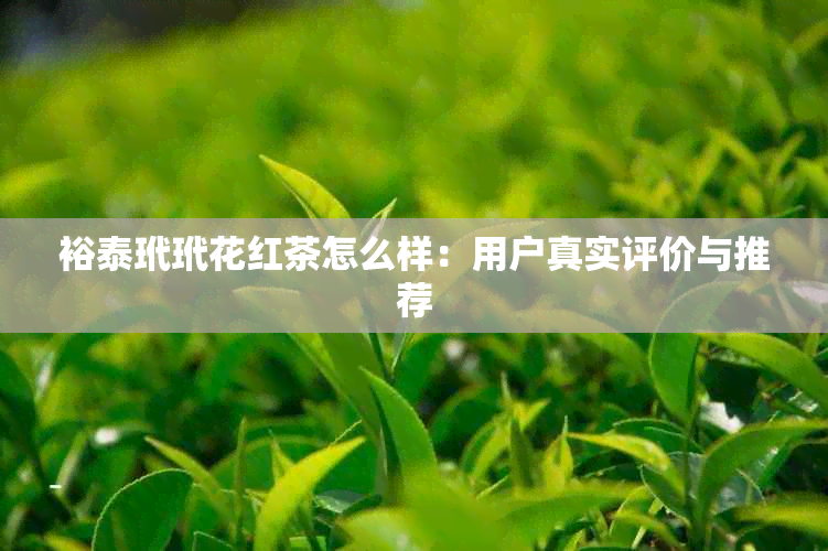 裕泰玳玳花红茶怎么样：用户真实评价与推荐