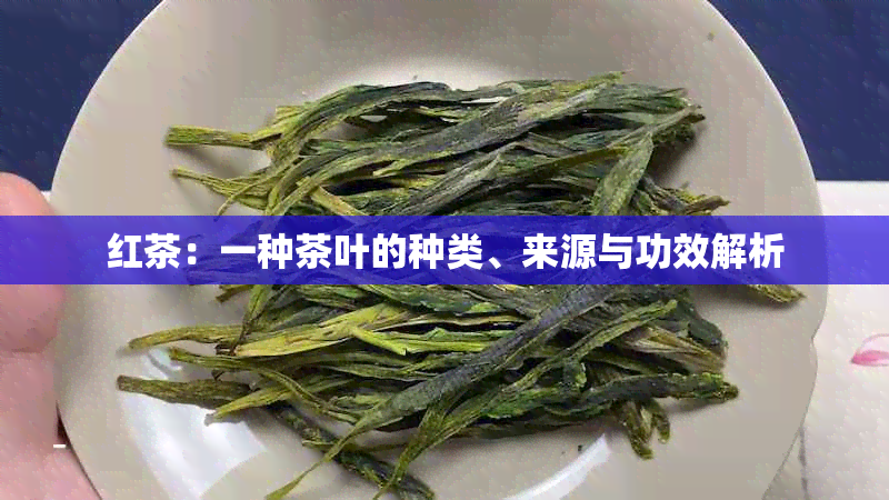 红茶：一种茶叶的种类、来源与功效解析