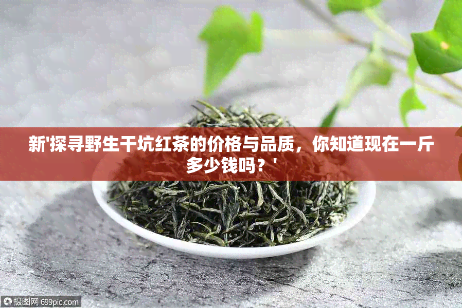 新'探寻野生干坑红茶的价格与品质，你知道现在一斤多少钱吗？'