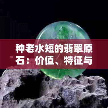 种老水短的翡翠原石：价值、特征与品质全解析