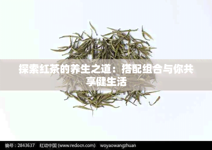 探索红茶的养生之道：搭配组合与你共享健生活