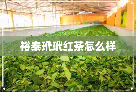 裕泰玳玳红茶怎么样