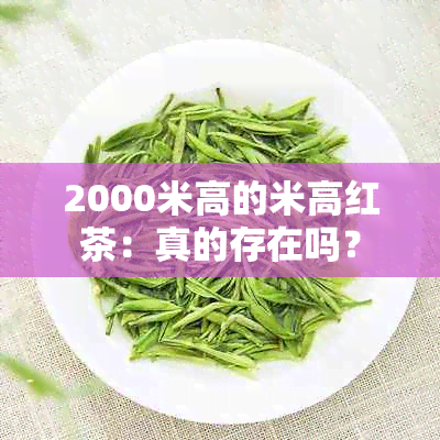 2000米高的米高红茶：真的存在吗？