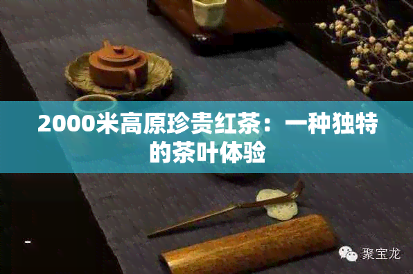 2000米高原珍贵红茶：一种独特的茶叶体验