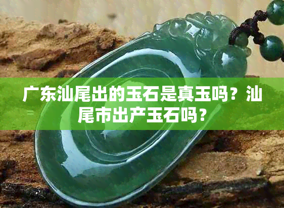 广东汕尾出的玉石是真玉吗？汕尾市出产玉石吗？