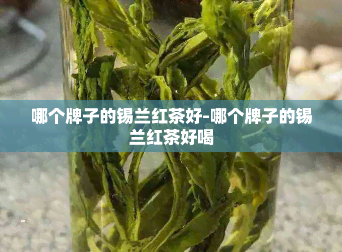 哪个牌子的锡兰红茶好-哪个牌子的锡兰红茶好喝