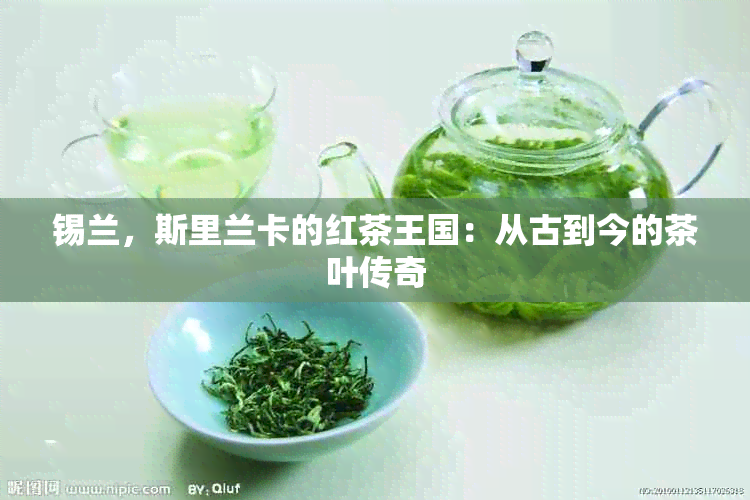 锡兰，斯里兰卡的红茶王国：从古到今的茶叶传奇