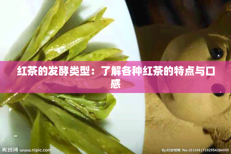 红茶的发酵类型：了解各种红茶的特点与口感