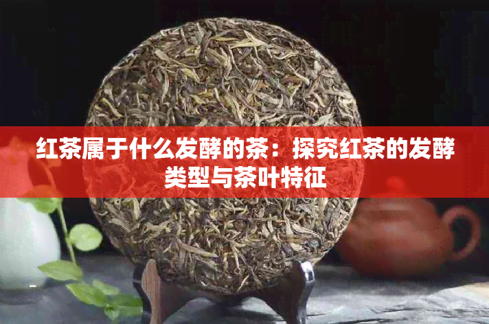 红茶属于什么发酵的茶：探究红茶的发酵类型与茶叶特征