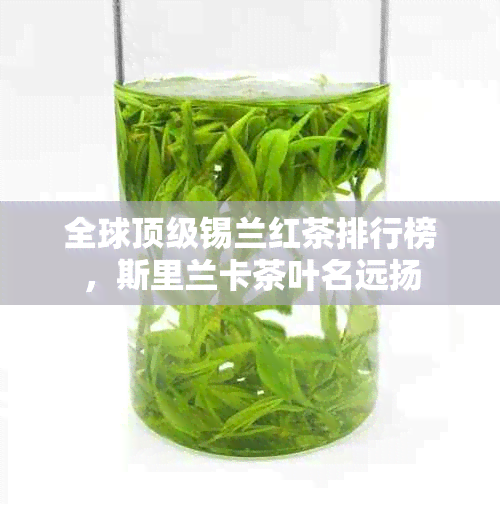 全球顶级锡兰红茶排行榜，斯里兰卡茶叶名远扬