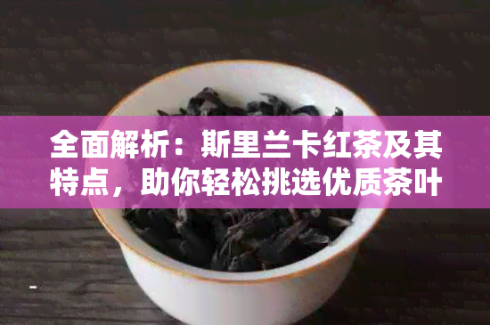 全面解析：斯里兰卡红茶及其特点，助你轻松挑选优质茶叶