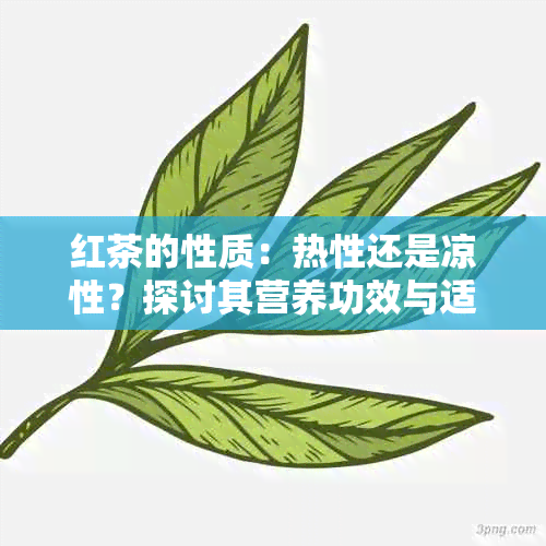 红茶的性质：热性还是凉性？探讨其营养功效与适用人群