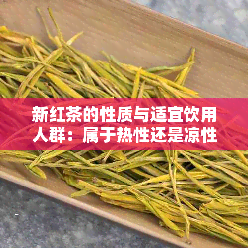 新红茶的性质与适宜饮用人群：属于热性还是凉性？