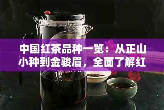 中国红茶品种一览：从正山小种到金骏眉，全面了解红茶的世界