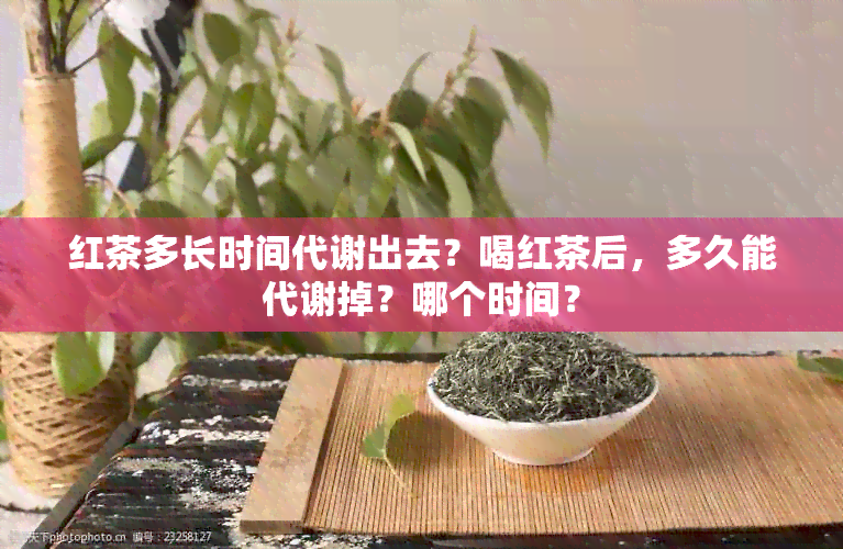 红茶多长时间代谢出去？喝红茶后，多久能代谢掉？哪个时间？