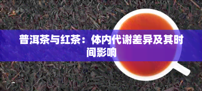 普洱茶与红茶：体内代谢差异及其时间影响