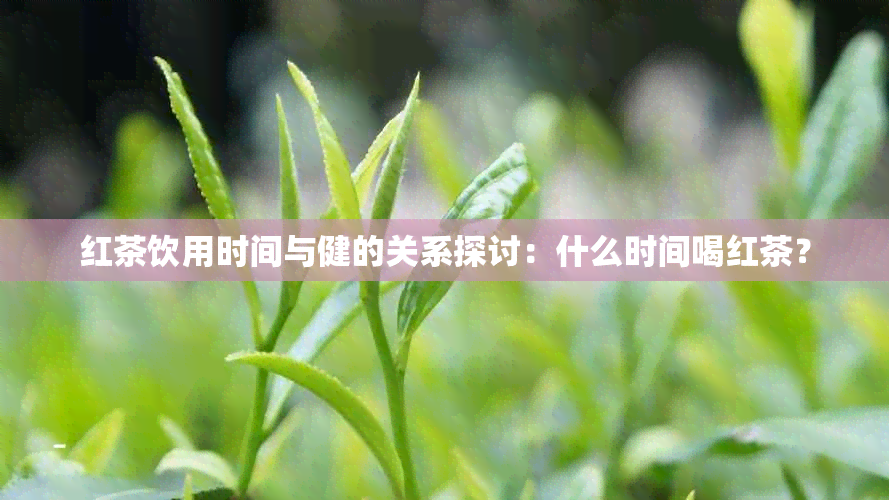 红茶饮用时间与健的关系探讨：什么时间喝红茶？