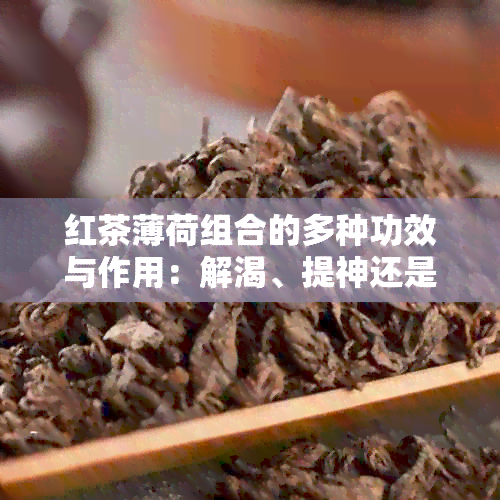 红茶薄荷组合的多种功效与作用：解渴、提神还是减肥？