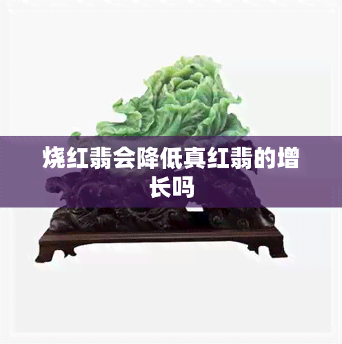 烧红翡会降低真红翡的增长吗