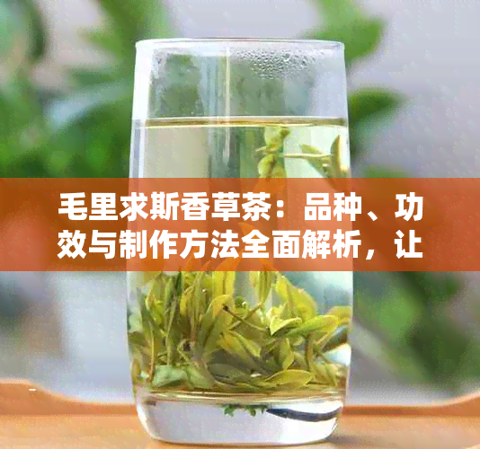 毛里求斯香草茶：品种、功效与制作方法全面解析，让你轻松品鉴这一独特茶饮