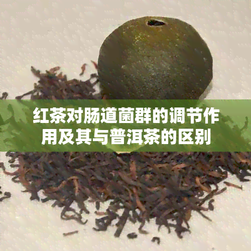 红茶对肠道菌群的调节作用及其与普洱茶的区别