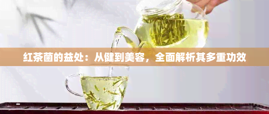 红茶菌的益处：从健到美容，全面解析其多重功效