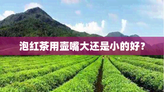 泡红茶用壶嘴大还是小的好？