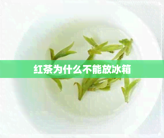 红茶为什么不能放冰箱