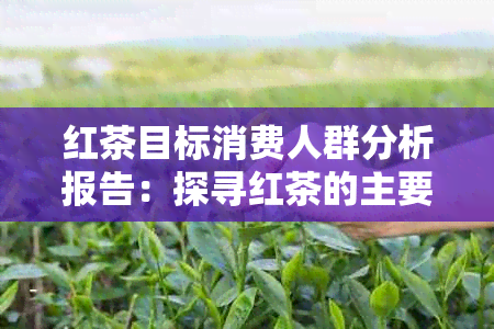 红茶目标消费人群分析报告：探寻红茶的主要消费群体与趋势