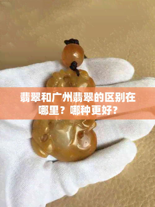 翡翠和广州翡翠的区别在哪里？哪种更好？