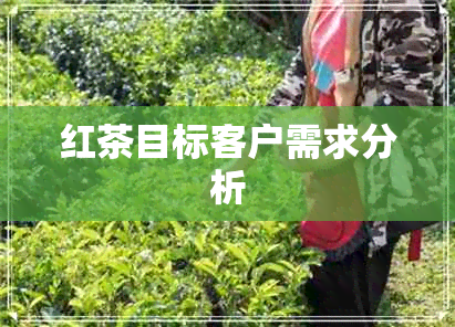 红茶目标客户需求分析