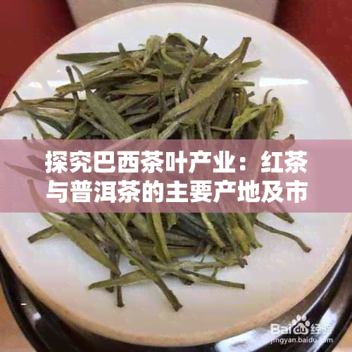 探究巴西茶叶产业：红茶与普洱茶的主要产地及市场影响力