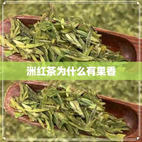 洲红茶为什么有果香