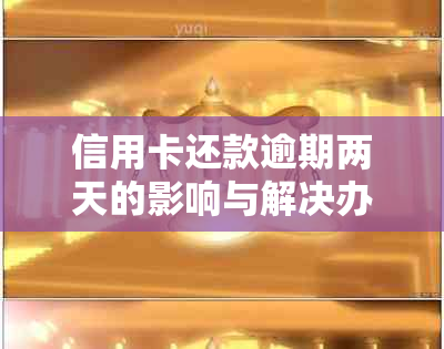 信用卡还款逾期两天的影响与解决办法：详细解释、风险提示与应对策略