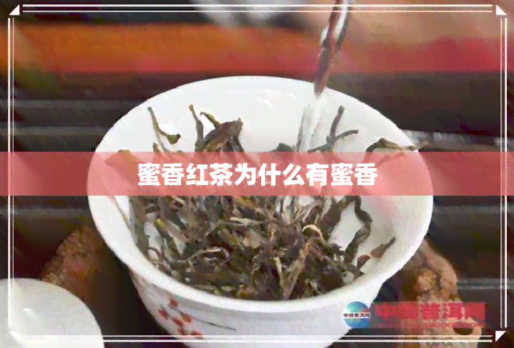 蜜香红茶为什么有蜜香