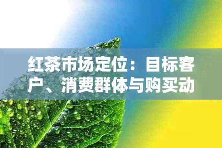 红茶市场定位：目标客户、消费群体与购买动机的全面解析