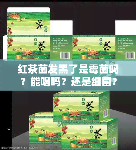 红茶菌发黑了是霉菌吗？能喝吗？还是细菌？